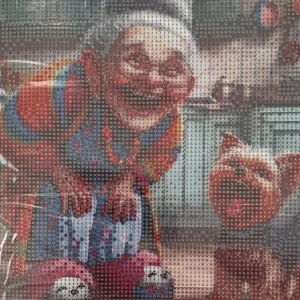 Host Support Diamond Art Kit Colorful Grandma & Yorkie. All you